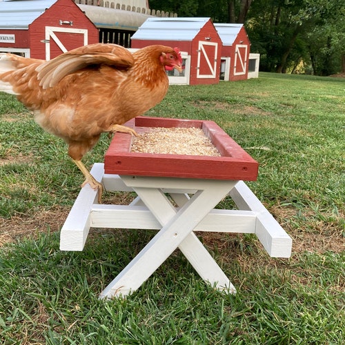 Amish ChickNic Table - A Picnic Table for Chickens
