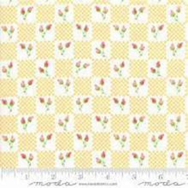 Lulu Lane 17x44 Coriander Quilts - Corey Yoder - Moda - Out of Print - 100% Cotton fabric