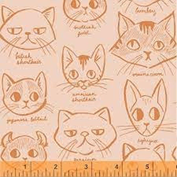 By the 1/2 yard - Caturday - 42950-5 - Windham Fabrics - Felice Regina - Out of Print - Cat faces - 100% Cotton Fabric