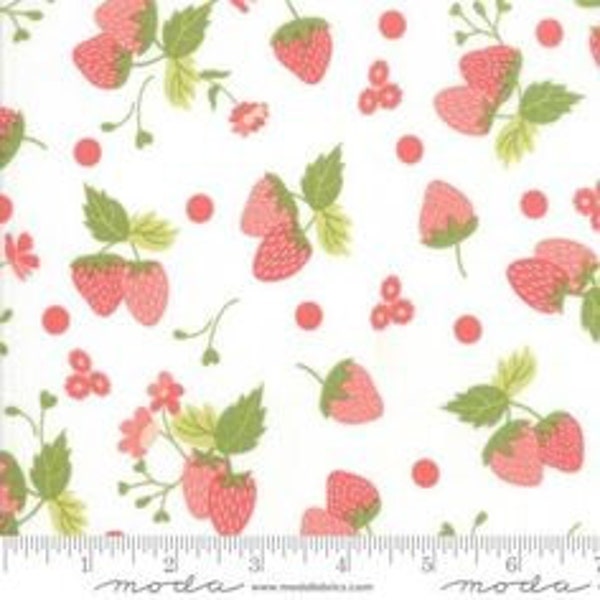 Strawberry Jam Continuous 1/2 Yard Corey Yoder 29062 11  Moda - Out of Print - 100% Cotton fabric