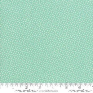 Sunnyside Up 1/2 yard Rainwashed Corey Yoder - Koriander Quilts - Moda - quiltbomull - Slutsåld