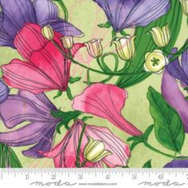 Sweet Pea and Lily Continuous 1/2 yard Robin Pickens - Moda Sapling  floral fabric cotton quilting craft - OOP