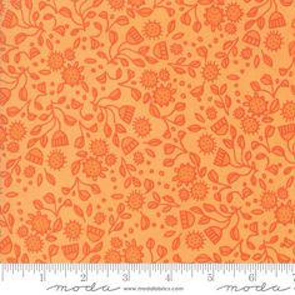 Tessuto di cotone Abby Rose 1/2 metro Moda Fabrics Robin Pickens Citrus Orange - Fuori produzione