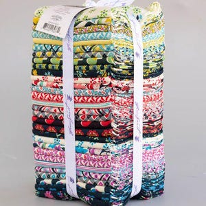 Shelburne Falls av Denyse Schmidt Fat Quarter Bundle, 30 st FreeSpirit Slutsåld Förskuren bomullstyg