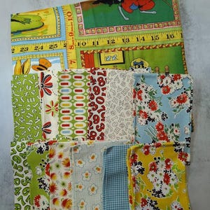 Building Blocks American Jane Panel and Fat Eighth Bundle, 12 pcs Moda OUT OF PRINT Precut Cotton fabric