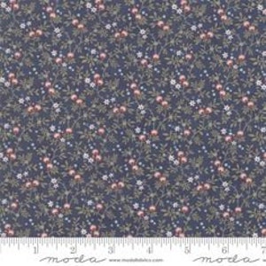 By the 1/2 yard - Daybreak - 3 Sisters - Evening - Moda - Out of Print - 100% Cotton Fabric