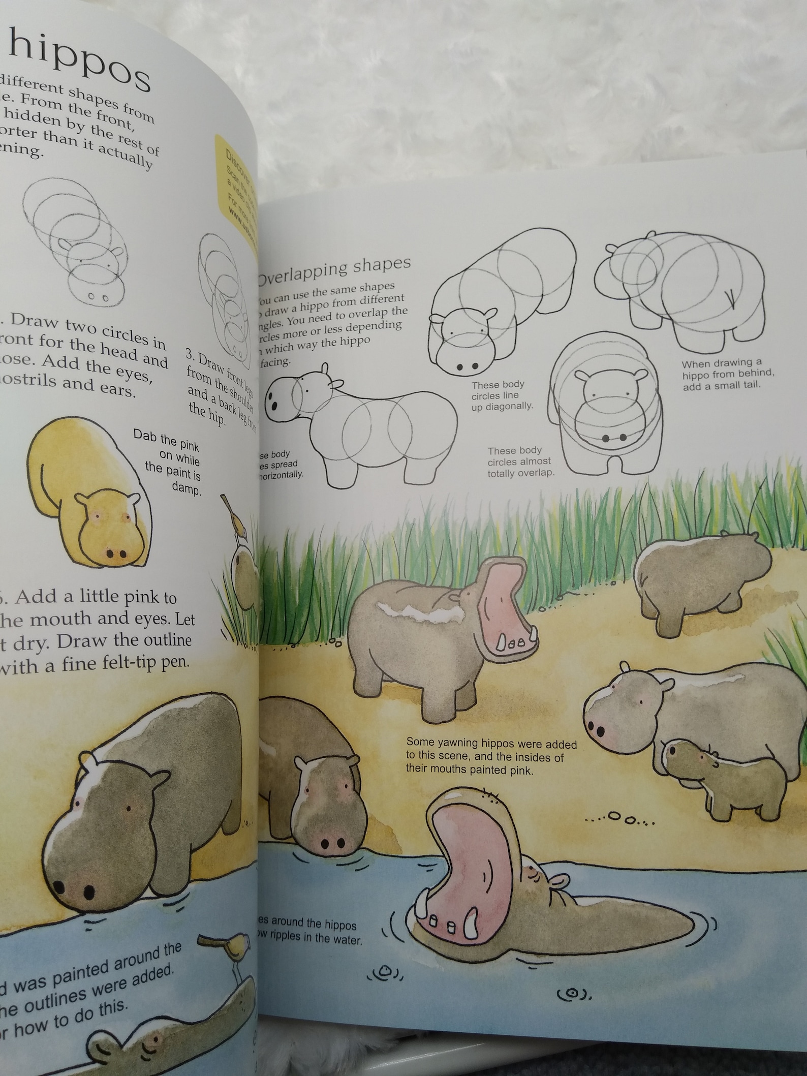 Drawing Animals Usborne book Art ideas paperback Etsy