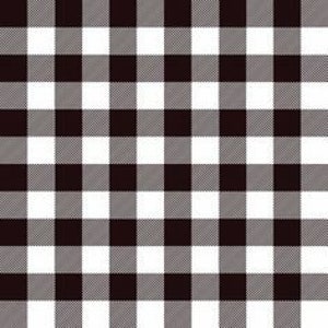 Nowoczesny dom wiejski 1/2 jard Buffalo Check - czarny od Simple Simon & Co. dla Riley Blake Designs - tkanina bawełniana - niedostępny