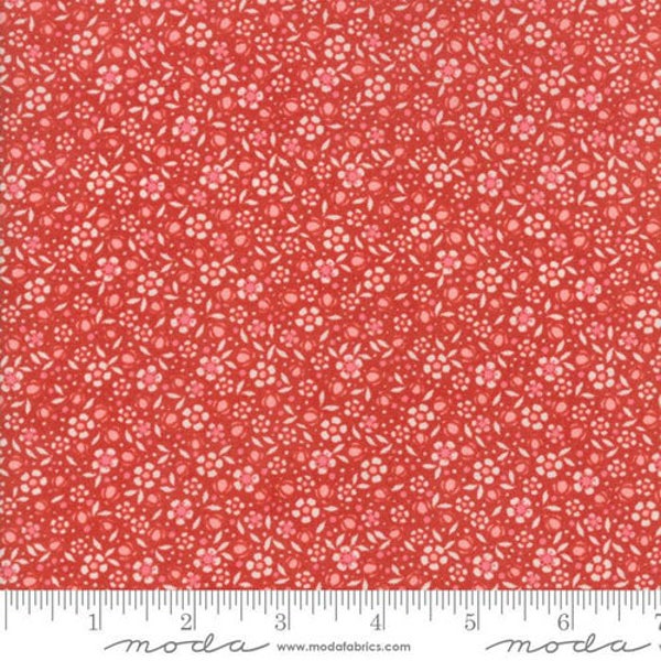 Biscuits and Gravy Etsy