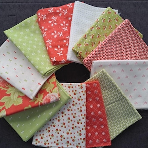 Fig Tree & Co Christmas 1/2 yard bundle, 12 pcs Curated Bundle Moda Out of Print Fabric