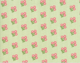 Lollipop Garden 1/2 yard Moda Lella Boutique - appelbloemen #5082 11 - katoen - OOP