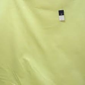Amy Butler Lime Solid 2 yard piece cotton