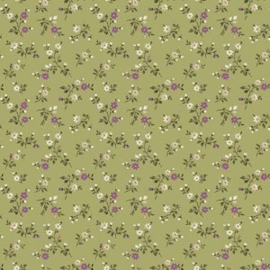 Anne of Green Gables 1/2  yard Floral Fern C13854 Riley Blake - OUT OF PRINT - 100% Cotton Quilting Fabric