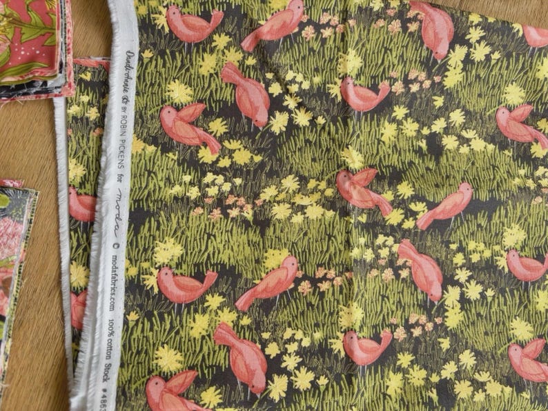Dandi Annie Sixty 6.5” Squares and 1 Yard Robin Pickens for Moda OUT OF