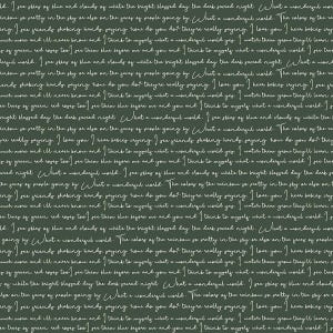 Gingham Fields 1/2 jarda Riley Blake Text Forest by my Mind's Eye OOP