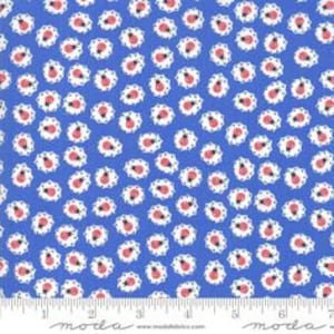 Back Porch Continuous 1/2 yard 22398 Me and My Sister Moda OUT OF PRINT Cotton Fabric