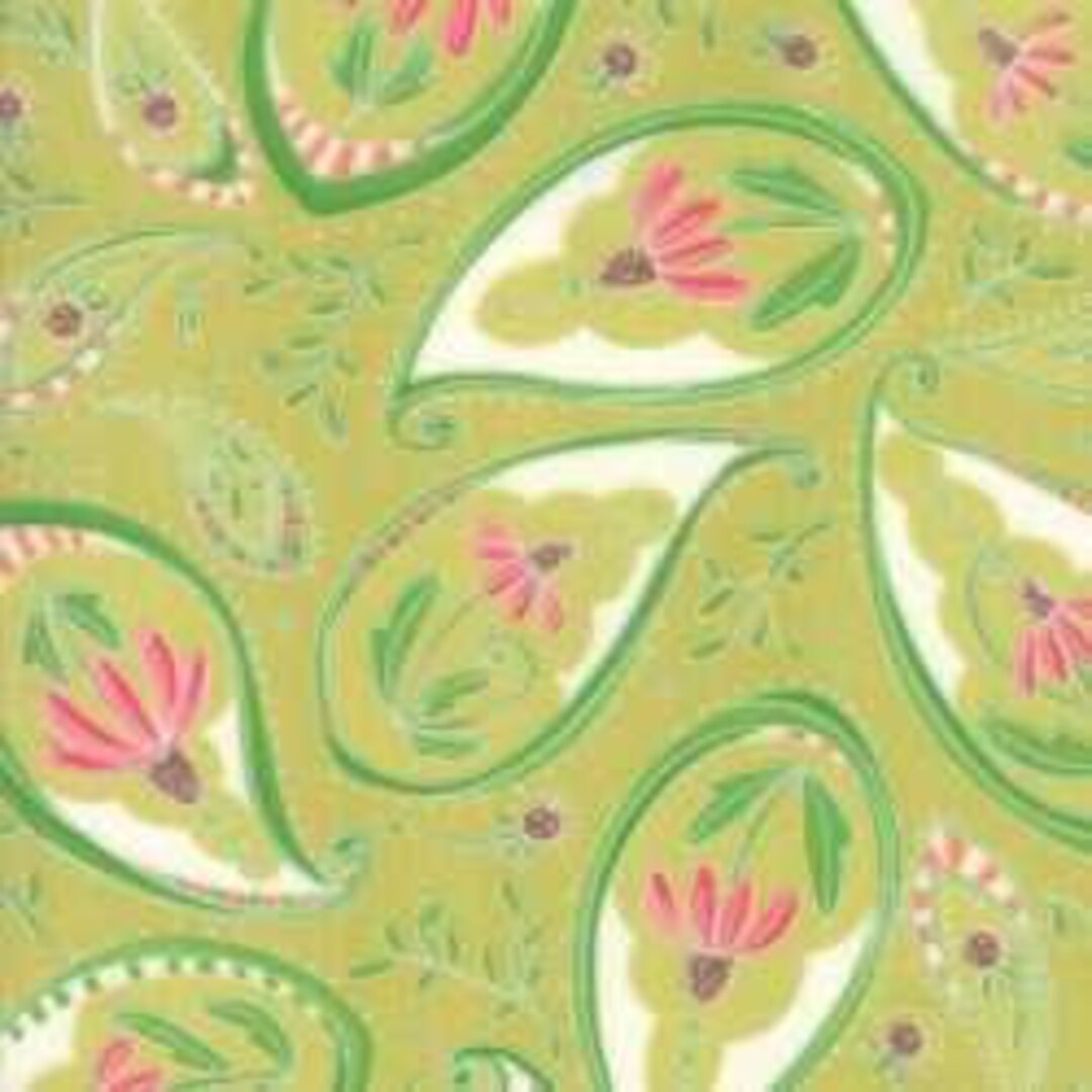 Painted Meadow 16x44 Paisley Sprig Robin Pickens Moda OOP Coneflowers