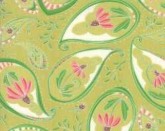 Painted Meadow 1/2 yard Paisley Sprig 48661 13 Robin Pickens - Moda - OOP - Coneflowers Green Cotton Quilting fabric
