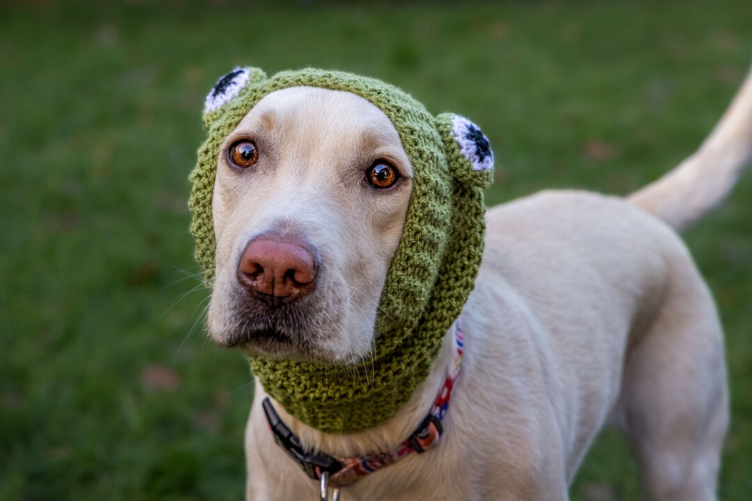 Crochet Dog Hats Made to Order Etsy