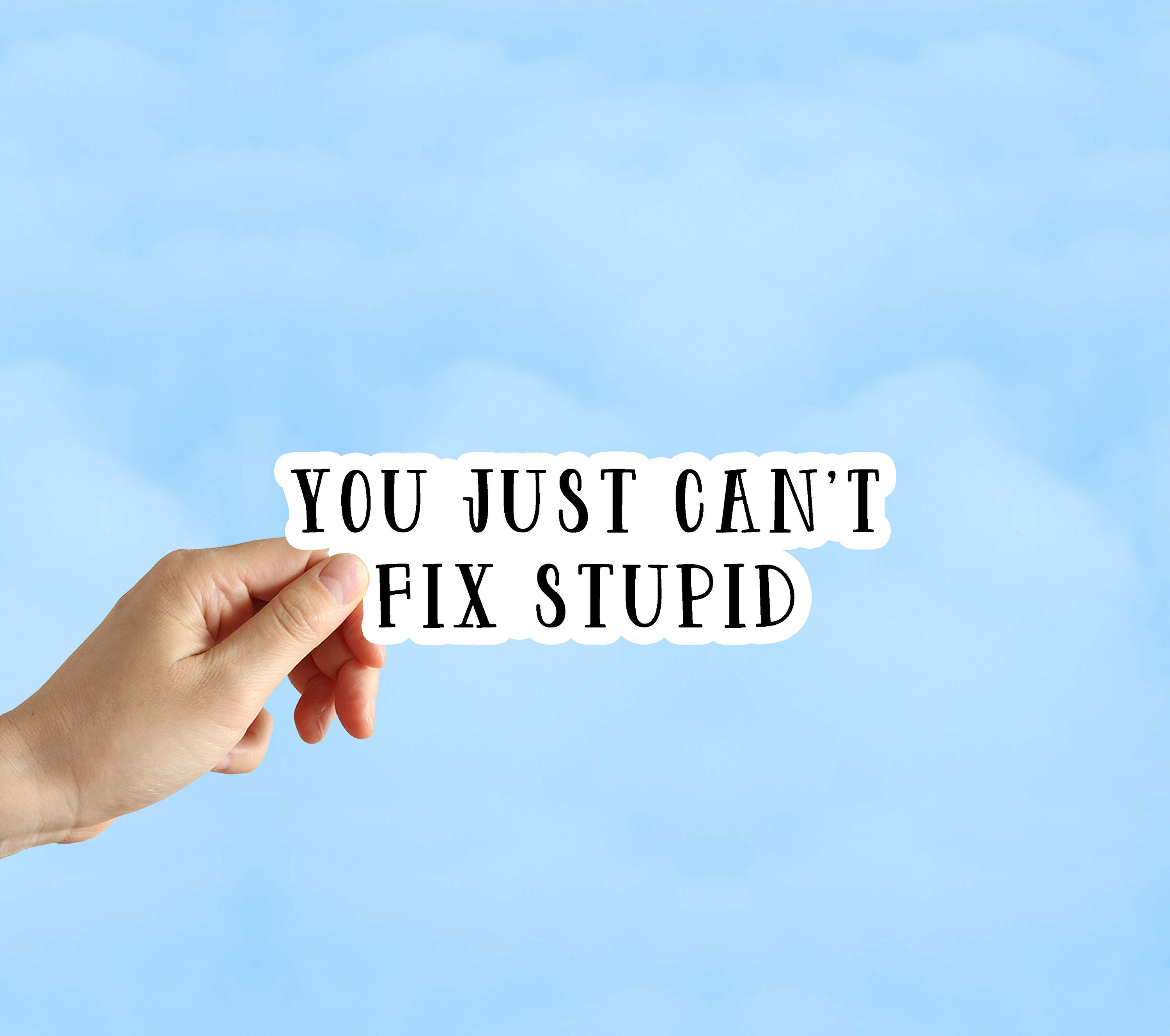 You Just Can't Fix Stupid Sticker Sarcastic Sticker Etsy