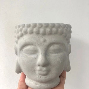 Concrete Buddha head planter