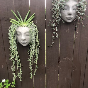 Face wall planter (concrete) *NO PLANTS