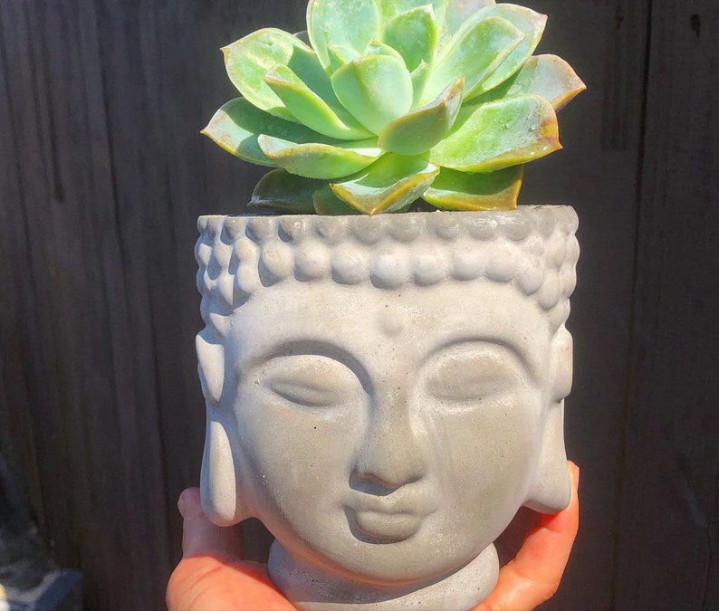 Concrete Buddha Head Planter Pot no Plants Etsy