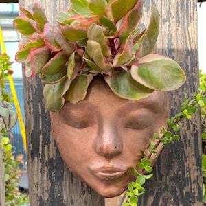 Copper/ Rose Gold  Face wall planter (concrete) *NO PLANTS