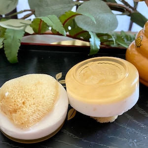 Goat Milk and Honey soap with Natural Sea sponge, Honeybee soap, Guest soap with sponge, Travel soap
