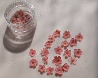 20pcs Mini Dried Pressed Flowers for Nail Art, Baby Pink Dried Flowers resin craft, Resin Jewellery making , Soap Decoration, Resin Inserts.