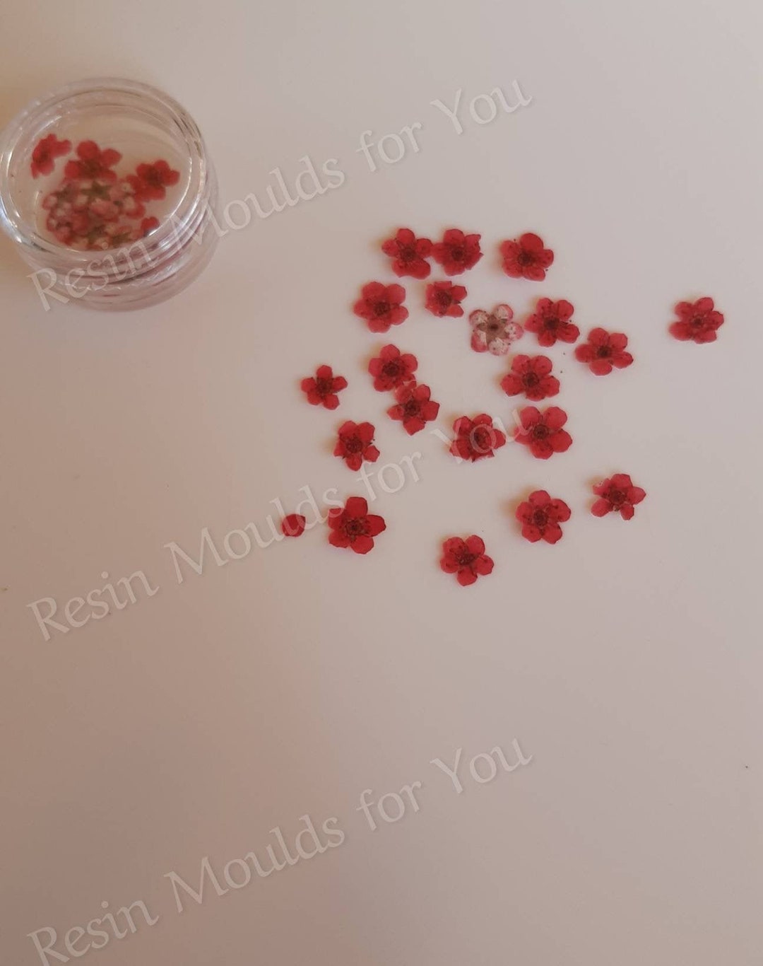 Dried Pressed Red Flowers for Resin, Red Nail Art Flowers, Dried Red