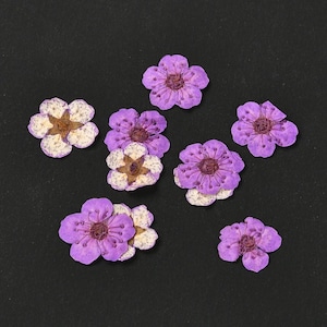 20pcs Mini Dried Pressed Flowers for Nail Art Manicure/Pedicure resin craft,resin jewellery making, UK seller.