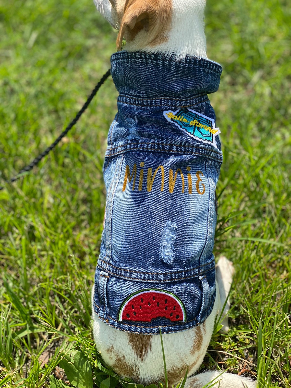 Denim Dog Jacket / Denim Dog Vest / Small Breed Dog Jacket / Etsy