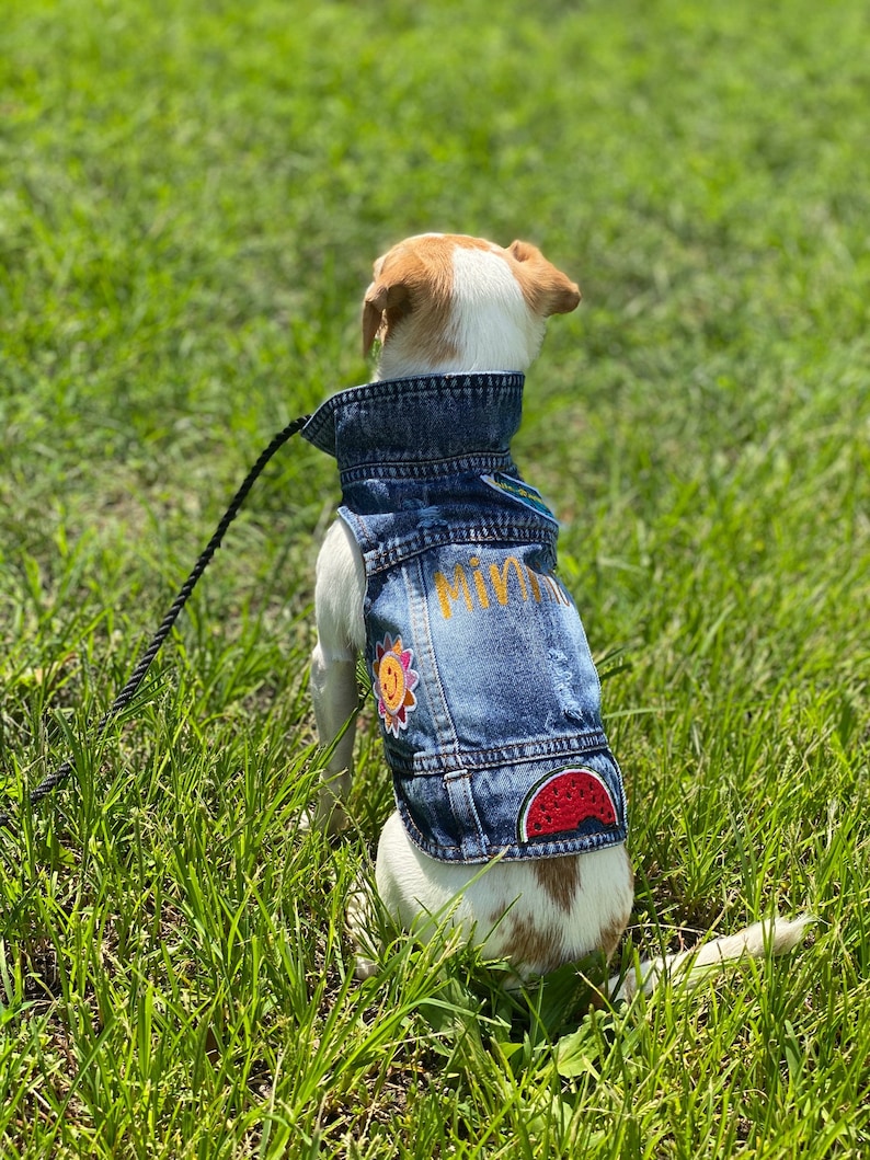 Custom Dog Jacket / Denim Vest / 4th of July Dog Outfit/ Etsy