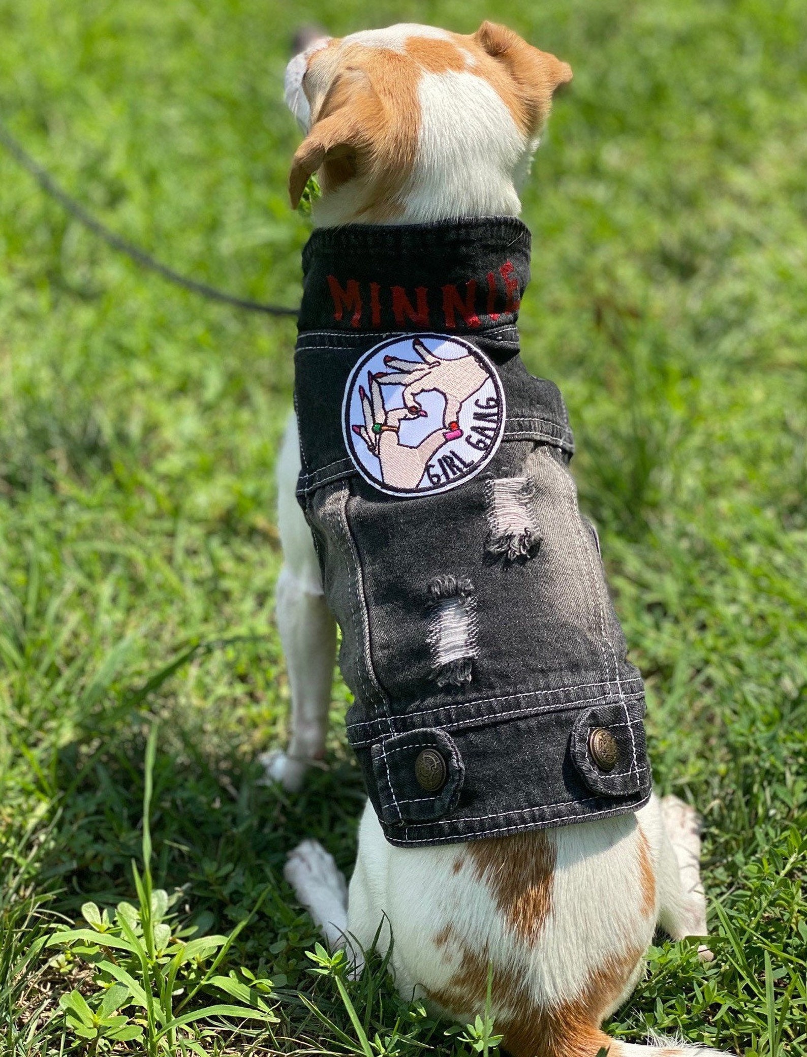 Denim Dog Jacket / Denim Dog Vest / Small Breed Dog Jacket / Etsy