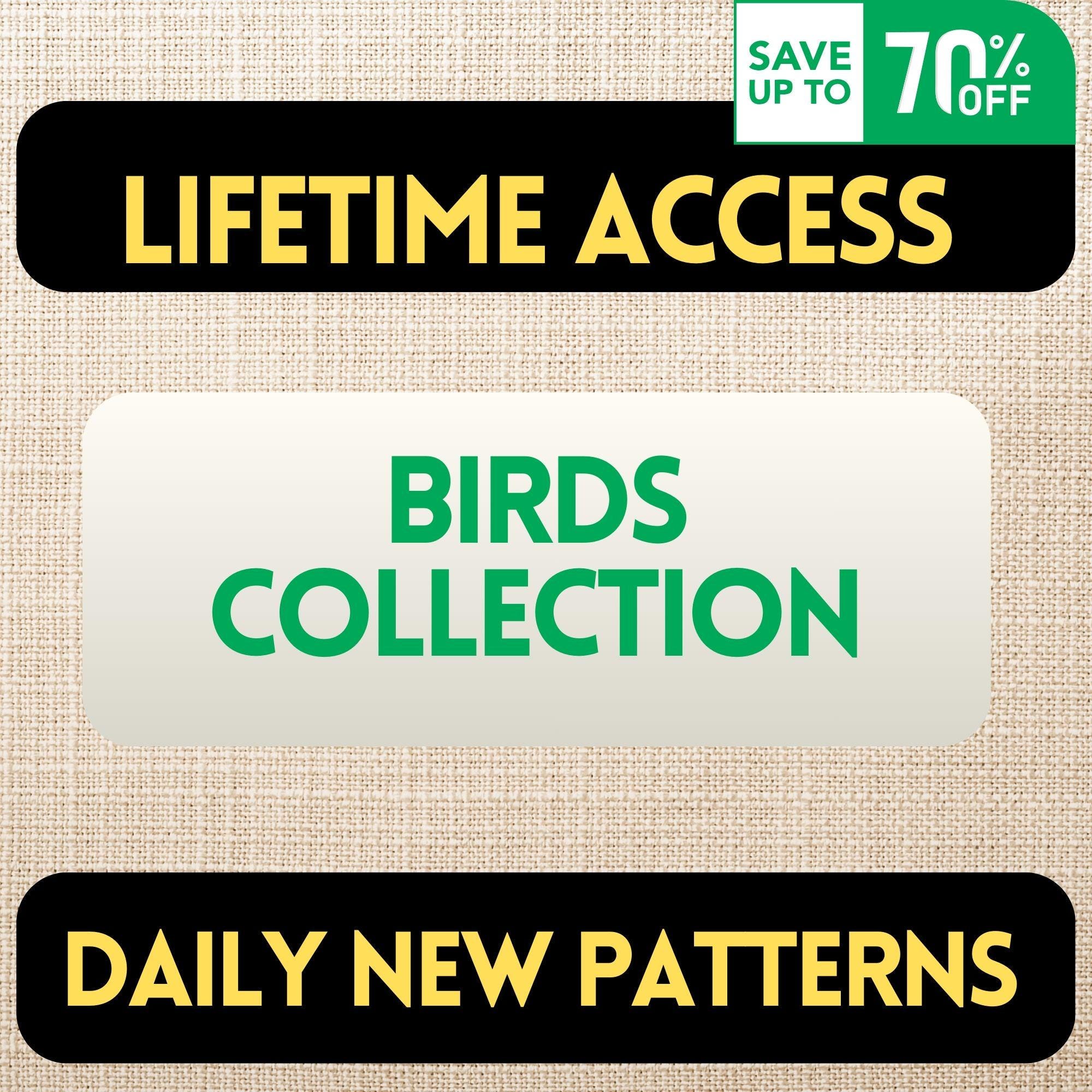 Bluebird Floral Hand Embroidery Pattern | Nature Hoop Art Design