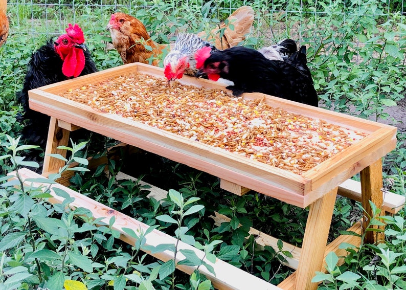 Chick Nic Table Chicken Feeder Tablechicken Feeder Bird Etsy