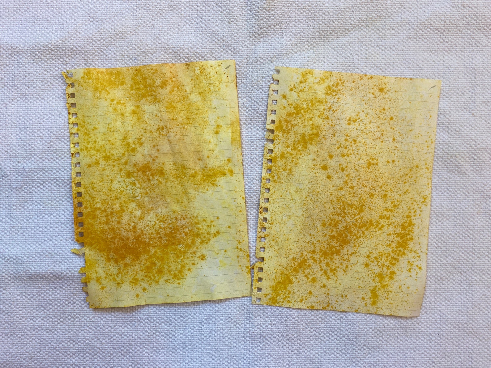 Turmeric HandDyed Paper Pack Yellow & Orange Etsy