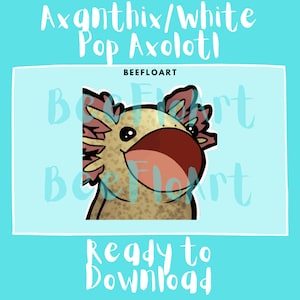 Animated Axanthic/White Axolotl (Pop Cat) | Emote | Ready to Download