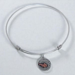Puede incluir: Una pulsera de brazalete plateada con un dije redondo. El dije presenta el texto "CARRY LIGHT AMERICAN 925" alrededor de una representación de la antorcha de la Estatua de la Libertad en tonos rojos y marrones. La pulsera es de metal fino y flexible.