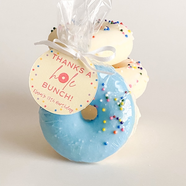 Thanks a Hole Bunch Birthday Favors, Donut Bath Bomb Favors, Girl Birthday Favors, Baby Shower Favors, Baby Brunch Favors