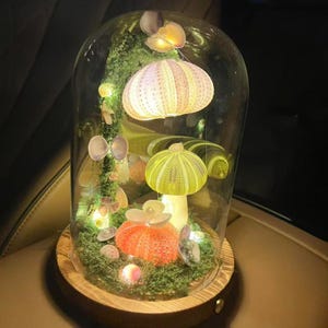 Puede incluir: Una campana de cristal decorativa con base de madera, que muestra una escena en miniatura iluminada. En el interior, hay erizos de mar coloridos, conchas marinas y musgo, creando una exhibición caprichosa inspirada en la naturaleza. La escena está iluminada con pequeñas luces cálidas.