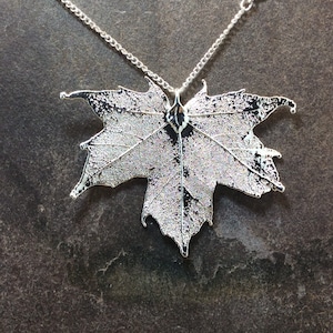 May include: A silver necklace featuring a detailed, textured maple leaf pendant. The leaf is a delicate, intricate design.