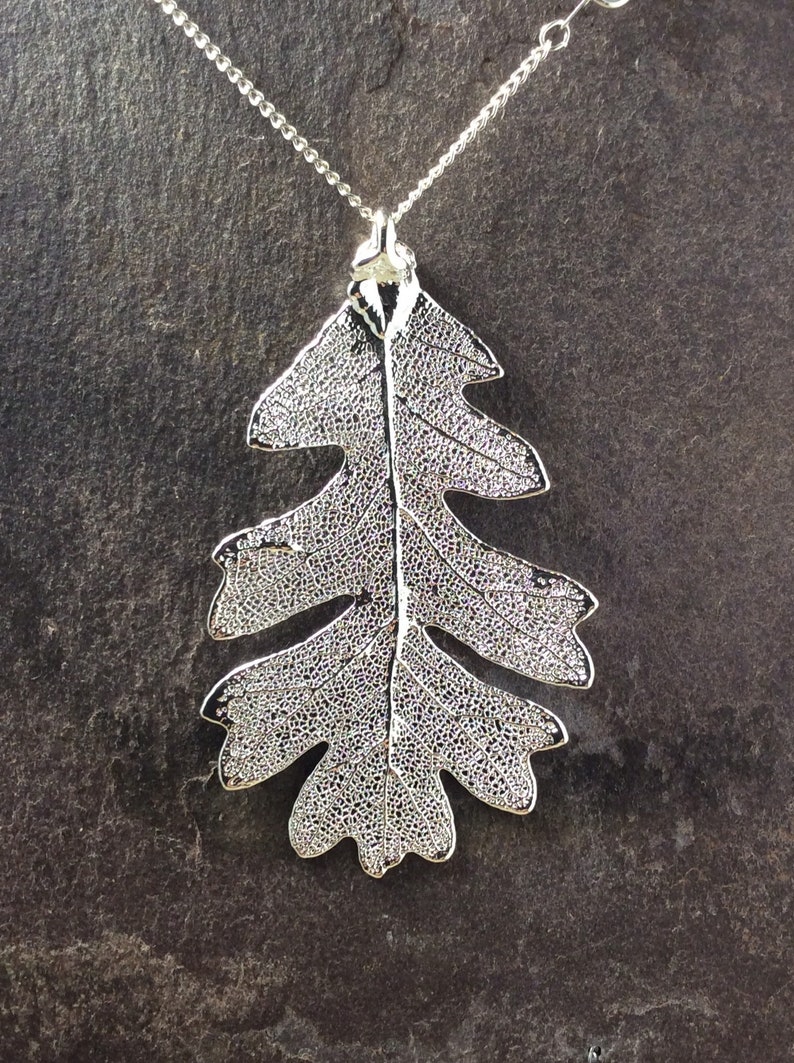 Real Large Oak Leaf Pendant Silver Plated Etsy