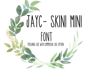 SKINI MINI font, farmhouse font, ray Dunn inspired font