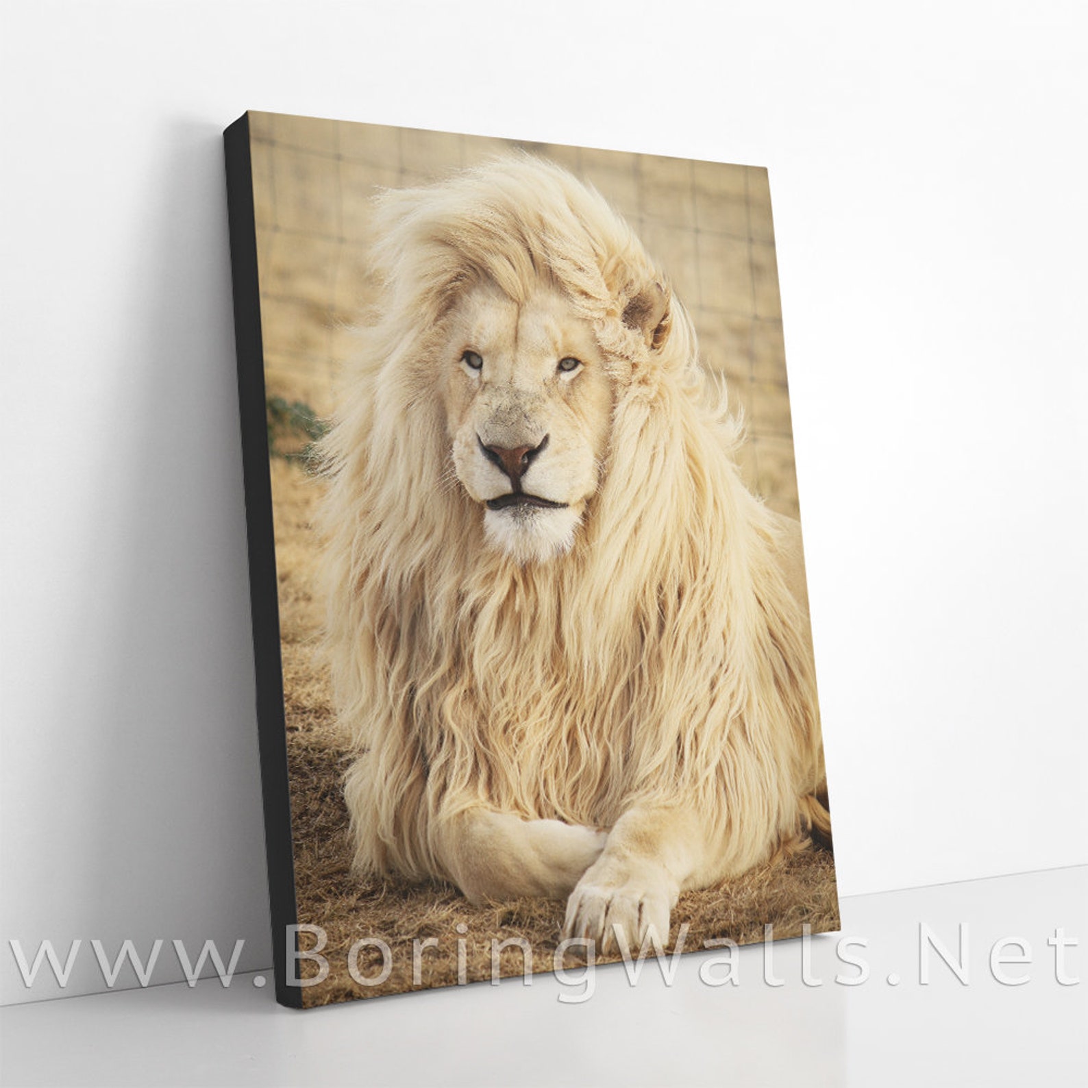 White Lion Canvas Office Wall Decor Abstract Lion Poster Etsy