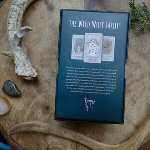 Op de afbeelding: De doos van het Wild Wolf Tarot-deck heeft een donkerblauwe achtergrond met een wolfillustratie en de tekst "The Wild Wolf Tarot". De doos bevat drie kaarten die een wolf, een groep mensen en een oog tonen.