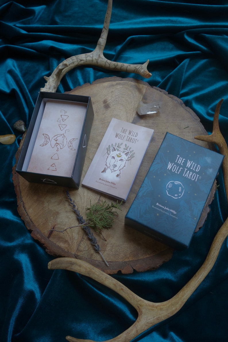 Op de afbeelding: Een gesloten doos met The Wild Wolf Tarot-kaarten met een wolfillustratie op de voorkant. De doos staat op een houten oppervlak met geweien en een klein groen plantje.