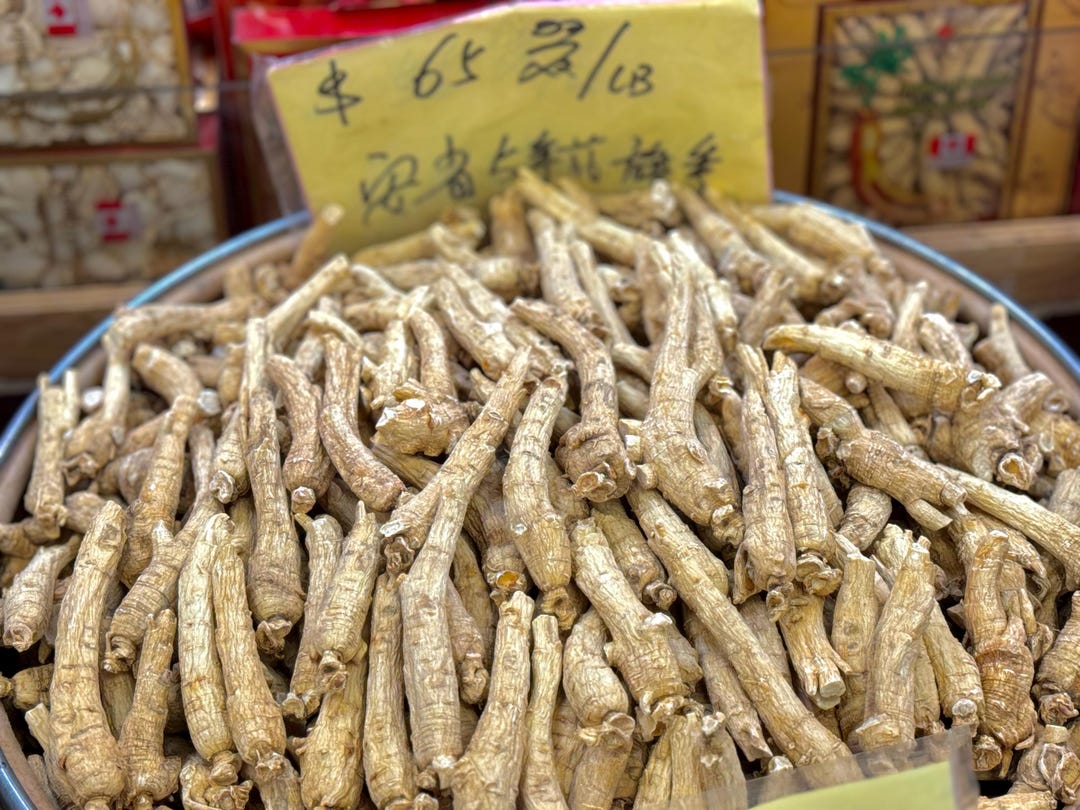 5 Years Ginseng | Median Long Head Ginseng | Ontario Farm Ginseng