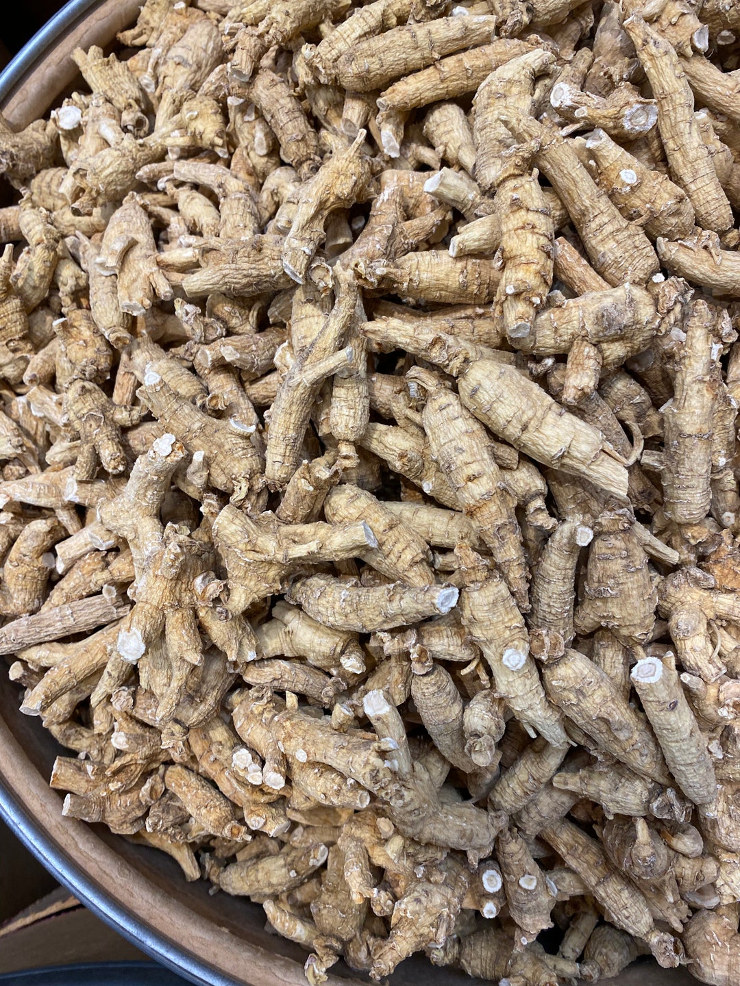 5 Years Ginseng Median Head Ginseng Ontario Farm Ginseng Sell by Each